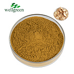 Wellgreen?Factory?Supply?Free?Sample?High?Quality?Powder?Platycodon?Grandiflorum?Root?Extract