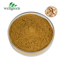 Wellgreen Factory Supply Free Sample High Quality Powder Platycodon Grandiflorum Root Extract