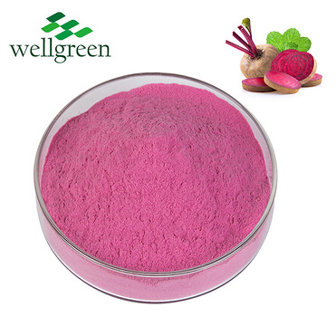 Seeds Dried Juice Extract Fresh Jordan Bulk Hybrid Supplement Beetroot Powder Organic