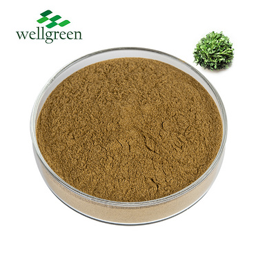 Bulk China herb Extract Saponin Triacontanol Pure Medicago Sativa Alfalfa Extract Powder