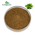 Thymus Vulgaris Leaf Powder Mongolicus Ronn Iso Common Liquid Pure Serpyllum Thyme Extract