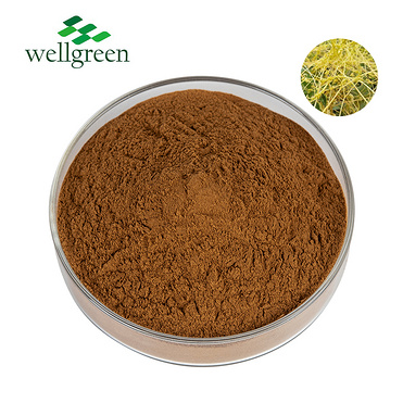 China Factory Supply Orgnic Herbal Supplement Semen Cuscutae Chinensis Powder Dodder Seed Extract