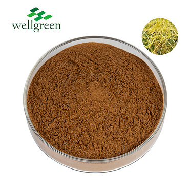 China?Factory?Supply?Orgnic?Herbal?Supplement?Semen?Cuscutae?Chinensis?Powder?Dodder?Seed?Extract