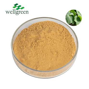 Root Kavalactones Powder Kavalactone 70% Pure Free Sample 99% 70 Kaka Supplement Kava Kava Extract