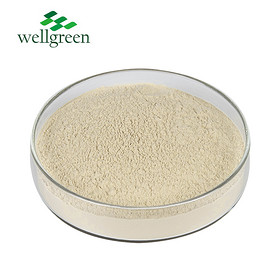 Natural Cas 9072-19-9 Fucoxanthin Seaweed Fucus Vesiculosus Powder Gagome Kelp Extract Fucoidan