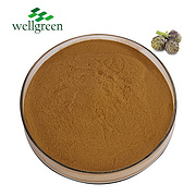 Natural Herb Factory Organic Inulin Cynarin Leaf Jerusalem Luteolin Artichoke Extract Powder