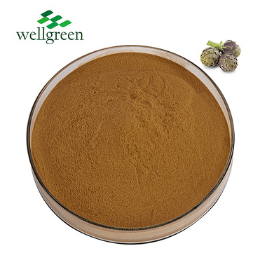 Natural Herb Factory Organic Inulin Cynarin Leaf Jerusalem Luteolin Artichoke Extract Powder