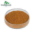 Chinese?Herb?Factory?Supplements?Use?Ruscus?Aculeatus?Butchers?Broom?Root?Extract?Ruscogenins