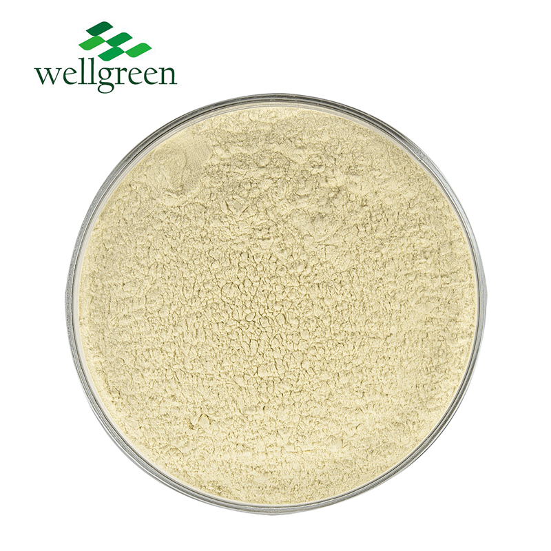 Wellnature Natural Grapefruit Dihydrochalcone Powder Pomelo Peel Extract 98% Citrus Aurantium Naring