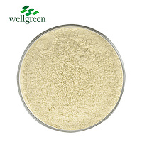 Wellnature Natural Grapefruit Dihydrochalcone Powder Pomelo Peel Extract 98% Citrus Aurantium Naring