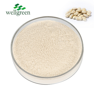 Powder Pure Natural Korea Herb Phaseolamin 100% 20 1 50 Cas 10000 Aaiu White Kidney Bean Extract