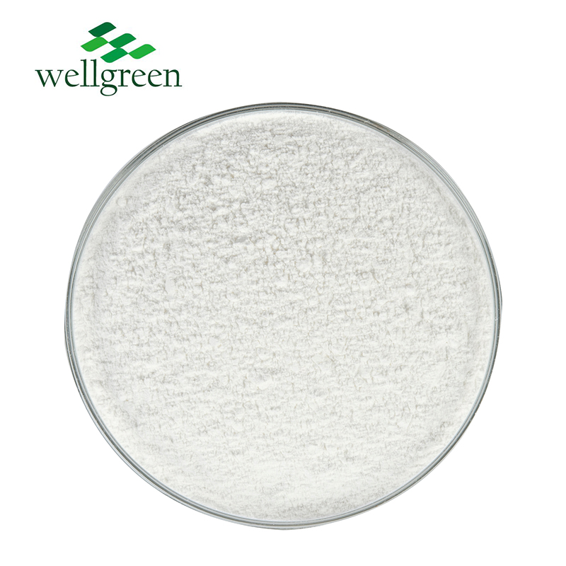 Wellgreen?Factory?Supply?Cosmetics?Food?Grade?White?Willow?Bark?Extract?Salicin?CAS?138-52-3