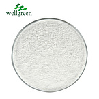 Wellgreen?Factory?Supply?Cosmetics?Food?Grade?White?Willow?Bark?Extract?Salicin?CAS?138-52-3