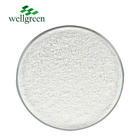 Wellgreen Factory Supply Cosmetics Food Grade White Willow Bark Extract Salicin CAS 138-52-3
