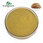 Wellgreen?Free?Sample?Pure?Natural?Plant?Herb?Supplements?Powder?Corn?Silk?Extract