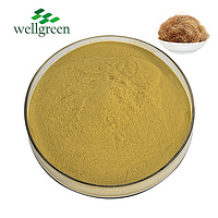 Wellgreen Free Sample Pure Natural Plant Herb Supplements Powder Corn Silk Extract