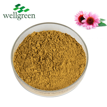 Root Polyphenol Dried Seeds Manufacturers Oil Angustifolia Gummies Pallida Echinacea Purpurea Extrac