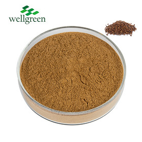 Semen Cassiae Torae Anthraquinone Obtusifolia Powder Glauca Seeds Tora Chinese Cassia Seed Extract