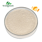 Orange?Bitter?Peel?Citrus?Aurantium?Extract?Powder?520-26-3?Methyl?Diosmin?Aurantiamarin?98%?Hesperi