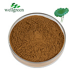 Lotus Leaf Extract Powder 5% Flovonoid 100% Natural 4% 98% C19h21no2 Alkali Nuciferine