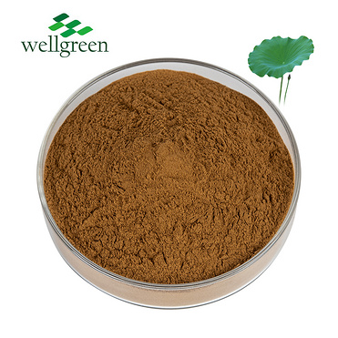 Lotus Leaf Extract Powder 5% Flovonoid 100% Natural 4% 98% C19h21no2 Alkali Nuciferine