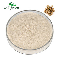 Chinese Herbal Sanchi Notoginsenoside Pseudo-Ginseng Extract Panax Notoginseng Powder