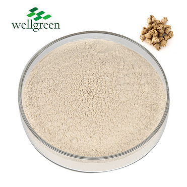 Chinese?Herbal?Sanchi?Notoginsenoside?Pseudo-Ginseng?Extract?Panax?Notoginseng?Powder
