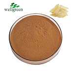Wellgreen?Factory?Custom?herbal?Extracts?Bulb?Root?Red?Spider?Powder?Water?Lily?Extract
