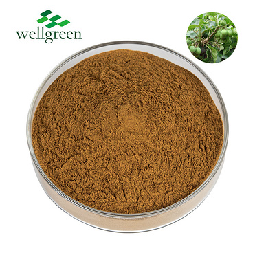 Oil?Extraction?Bulk?Toosendanin?Azadirachta?Indica?Tree?Powder?Leaf?Bark?Organic?Neem?Extract