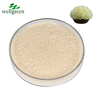 Aurantialba White Fungus Sporocarp Powder Mushrooms Organic Tremella Fuciformis Extract