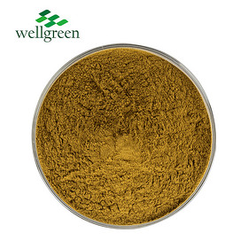 Coleus Forskohli Extract 10.0%, 20.0% Forskolin (HPLC)