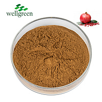 Pomegranate Extract 40.0% Ellagic Acid (HPLC)