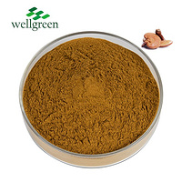 Reishi Mushroom Extract 10.0~30.0% Polysaccharides (UV)