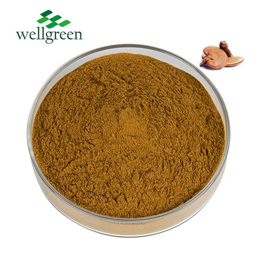 Reishi Mushroom Extract 10.0~30.0% Polysaccharides (UV)