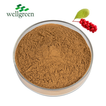 Schisandra Extract 1.0~22.0% Schisandrins (HPLC/UV)