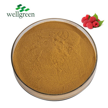 Raspberry Extract 40.0% Ellagic Acid (HPLC)