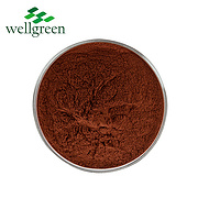 Yerba Mate Extract 8% Caffeine (HPLC)