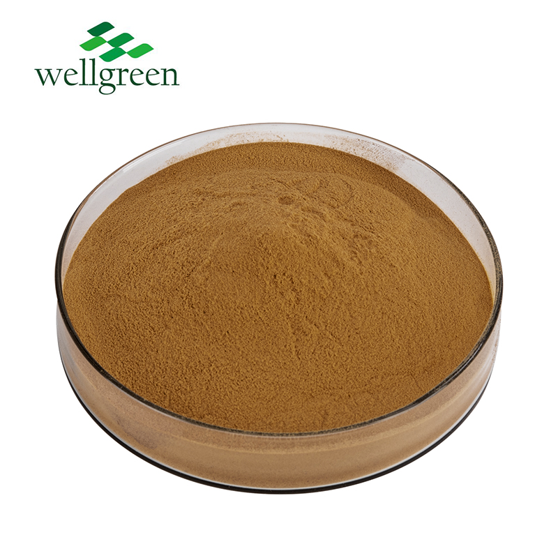 Olive Leaf Extract 16%,20% Oleuropein 10% Hydroxytyrosol (HPLC)