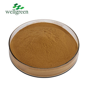 Olive Leaf Extract 16%,20% Oleuropein 10% Hydroxytyrosol (HPLC)