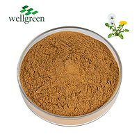 Dandelion Extract 3%, 5% Flavonoids (UV)