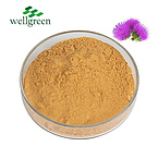 Milk Thistle Extract 80.0% Silymarin (UV)