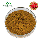 Rhodiola Rosea Extract 3.0% Rosavin (HPLC)