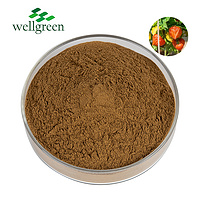 Ashwagandha Extract 2.5% Withanolides (HPLC)