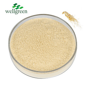 Ginseng Root Extract 10.0%~80.0% Ginsenoside (UV)