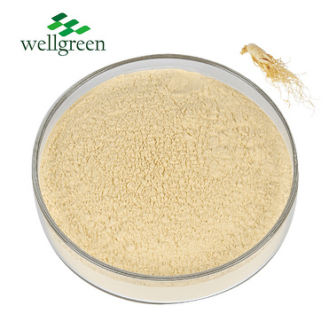 Ginseng Root Extract 10.0%~80.0% Ginsenoside (UV)