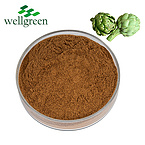 Artichoke Extract 2.5% Cynarin (UV)