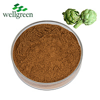 Artichoke Extract 2.5% Cynarin (UV)