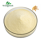 Soybean Extract 40.0% Isoflavones (HPLC)