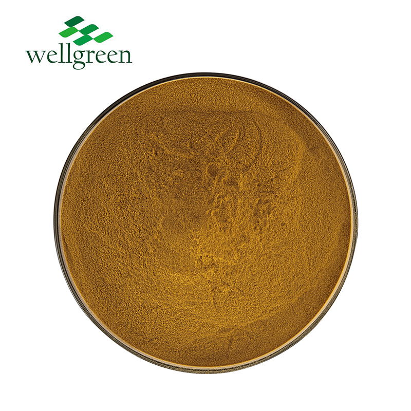 Java Tea Extract 0.2% Sinensetin（UV）