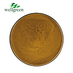 Java Tea Extract 0.2% Sinensetin（UV）